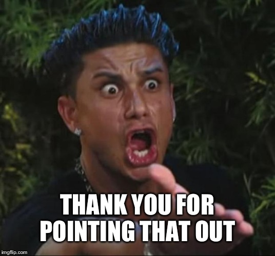 DJ Pauly D Meme | THANK YOU FOR POINTING THAT OUT | image tagged in memes,dj pauly d | made w/ Imgflip meme maker