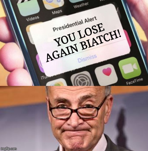 When the left is coming out calling the Mueller testimony a "disaster" and 2020 is around the corner. | YOU LOSE AGAIN BIATCH! | image tagged in chuck shumer,memes,presidential alert,politics,political meme,robert mueller | made w/ Imgflip meme maker
