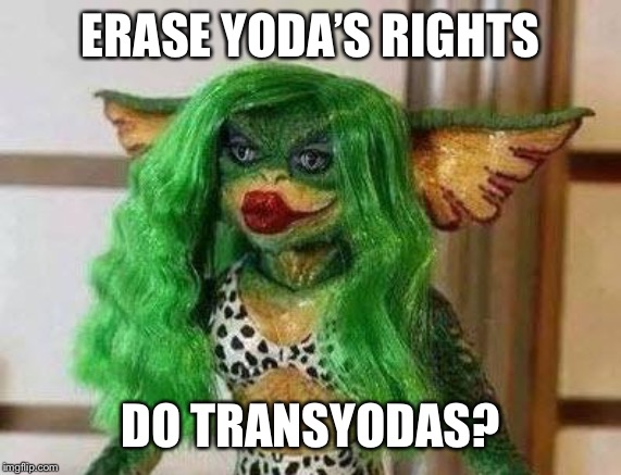 ERASE YODA’S RIGHTS DO TRANSYODAS? | made w/ Imgflip meme maker