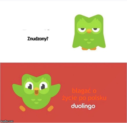 DUOLINGO BORED | Znudzony? błagać o życie po polsku | image tagged in duolingo bored,polish,memes | made w/ Imgflip meme maker