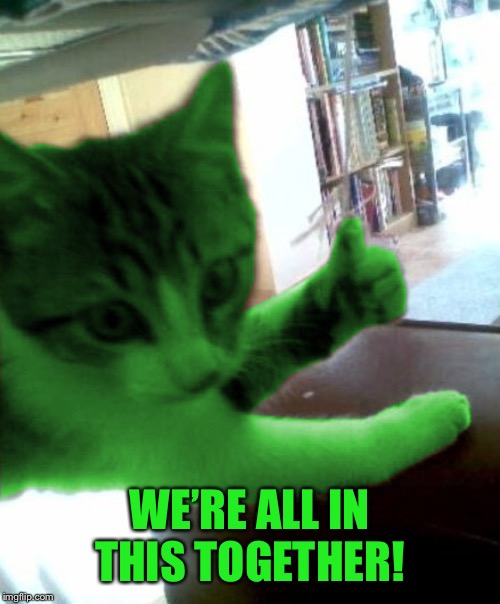 thumbs up RayCat | WE’RE ALL IN THIS TOGETHER! | image tagged in thumbs up raycat | made w/ Imgflip meme maker