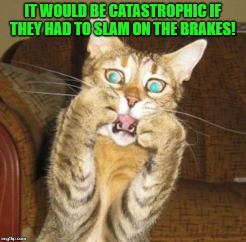 Scared cat | IT WOULD BE CATASTROPHIC IF THEY HAD TO SLAM ON THE BRAKES! | image tagged in scared cat | made w/ Imgflip meme maker