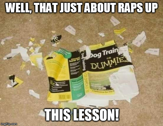 dog training | WELL, THAT JUST ABOUT RAPS UP; THIS LESSON! | image tagged in dog training | made w/ Imgflip meme maker