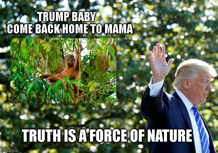 Trump Go Back to Your Country | TRUMP BABY    COME BACK HOME TO MAMA; TRUTH IS A FORCE OF NATURE | image tagged in impeach trump,donald trump is an orangutan,the oranges of trump | made w/ Imgflip meme maker