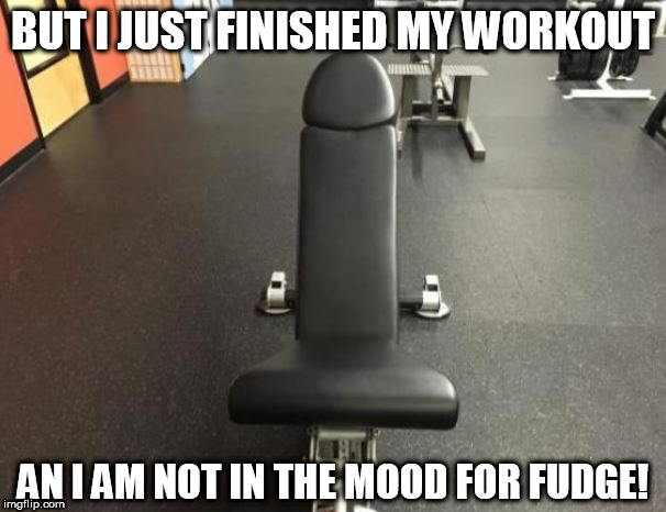 BUT I JUST FINISHED MY WORKOUT AN I AM NOT IN THE MOOD FOR FUDGE! | made w/ Imgflip meme maker