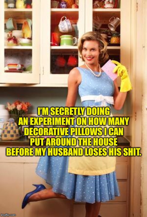 Happy House Wife |  I’M SECRETLY DOING AN EXPERIMENT ON HOW MANY DECORATIVE PILLOWS I CAN PUT AROUND THE HOUSE BEFORE MY HUSBAND LOSES HIS SHIT. | image tagged in happy house wife | made w/ Imgflip meme maker