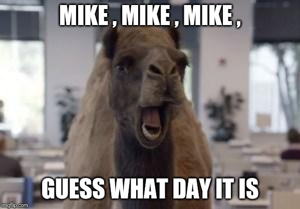 Hump Day Camel | MIKE , MIKE , MIKE , GUESS WHAT DAY IT IS | image tagged in hump day camel | made w/ Imgflip meme maker
