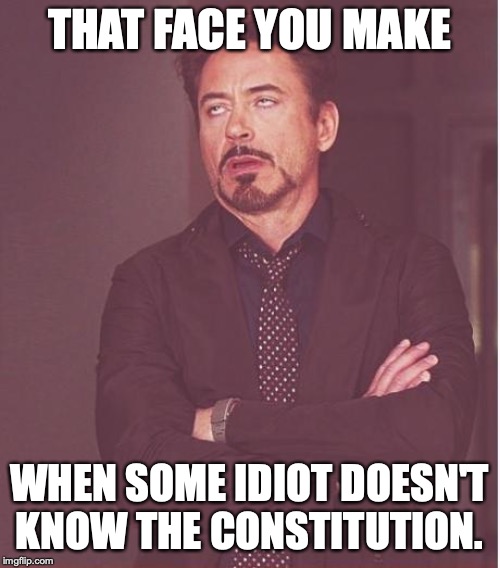 Face You Make Robert Downey Jr Meme | THAT FACE YOU MAKE WHEN SOME IDIOT DOESN'T KNOW THE CONSTITUTION. | image tagged in memes,face you make robert downey jr | made w/ Imgflip meme maker