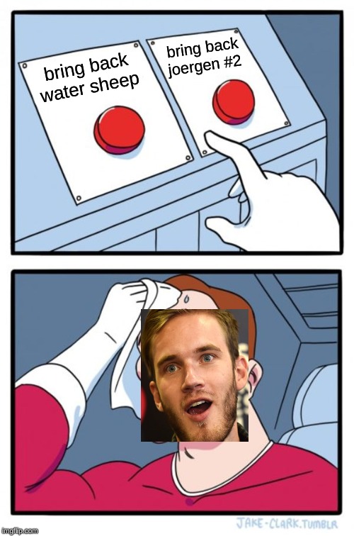 Two Buttons Meme | bring back joergen #2; bring back water sheep | image tagged in memes,two buttons | made w/ Imgflip meme maker