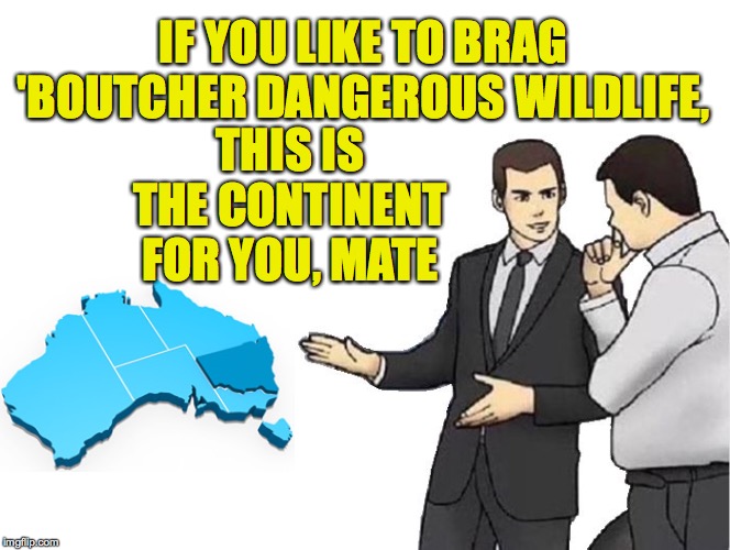 In Australia, are Safety Ratings called Danger Ratings?  ( : | IF YOU LIKE TO BRAG 'BOUTCHER DANGEROUS WILDLIFE, THIS IS THE CONTINENT FOR YOU, MATE | image tagged in memes,car salesman slaps hood,australia,danger ratings,danger danger,wildlife | made w/ Imgflip meme maker