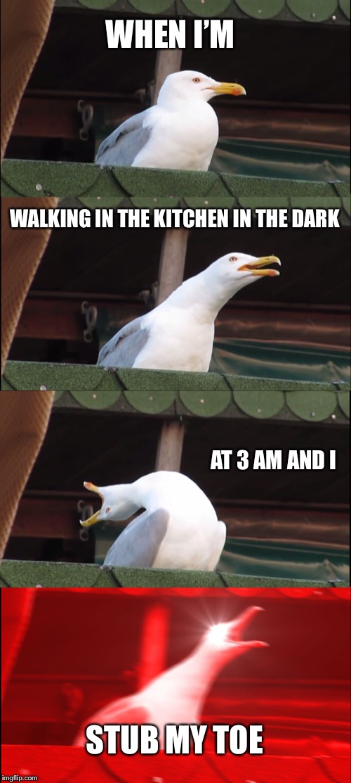 Inhaling Seagull | WHEN I’M; WALKING IN THE KITCHEN IN THE DARK; AT 3 AM AND I; STUB MY TOE | image tagged in memes,inhaling seagull | made w/ Imgflip meme maker