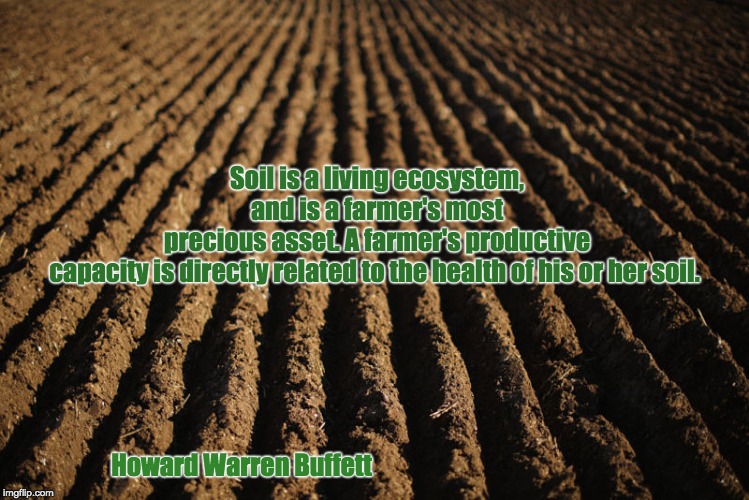 Soil is a living ecosystem, and is a farmer's most precious asset. A farmer's productive capacity is directly related to the health of his or her soil. Howard Warren Buffett | image tagged in quotes,farming,farmers,farm | made w/ Imgflip meme maker