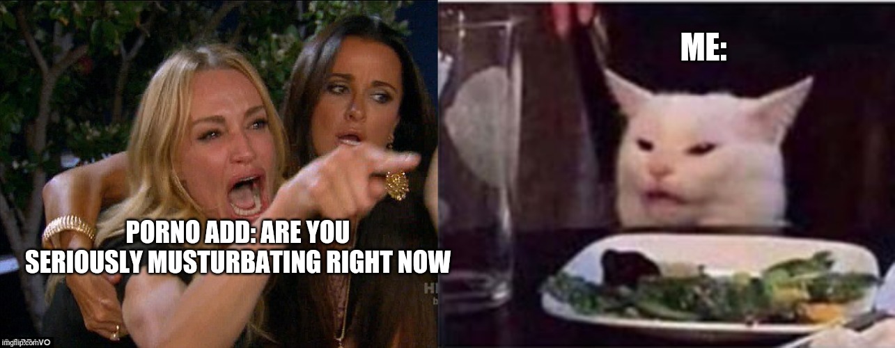 ME:; PORNO ADD: ARE YOU SERIOUSLY MUSTURBATING RIGHT NOW | image tagged in real housewives crying,white dinner table cat | made w/ Imgflip meme maker