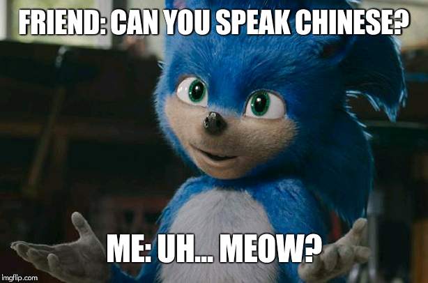 Sonic movie meow | FRIEND: CAN YOU SPEAK CHINESE? ME: UH... MEOW? | image tagged in sonic movie meow | made w/ Imgflip meme maker