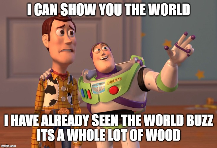 X, X Everywhere | I CAN SHOW YOU THE WORLD; I HAVE ALREADY SEEN THE WORLD BUZZ
ITS A WHOLE LOT OF WOOD | image tagged in memes,x x everywhere | made w/ Imgflip meme maker