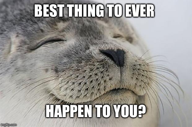 Satisfied Seal | BEST THING TO EVER; HAPPEN TO YOU? | image tagged in memes,satisfied seal | made w/ Imgflip meme maker
