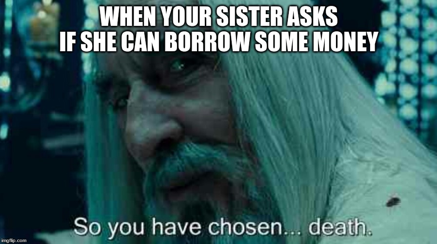 So you have chosen death | WHEN YOUR SISTER ASKS IF SHE CAN BORROW SOME MONEY | image tagged in so you have chosen death | made w/ Imgflip meme maker