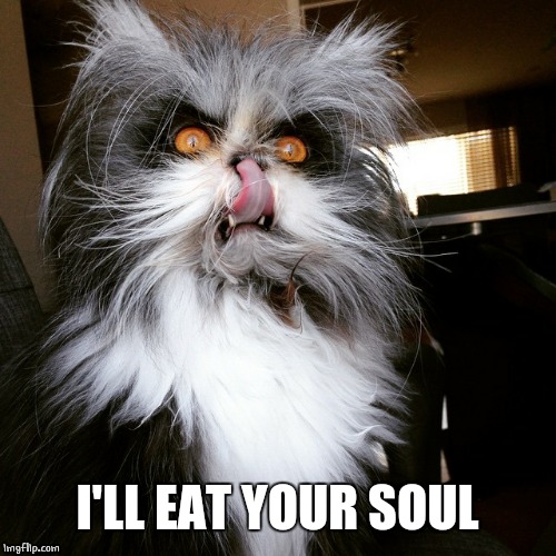 SATAN? | I'LL EAT YOUR SOUL | image tagged in owl cat,cats,evil cat | made w/ Imgflip meme maker