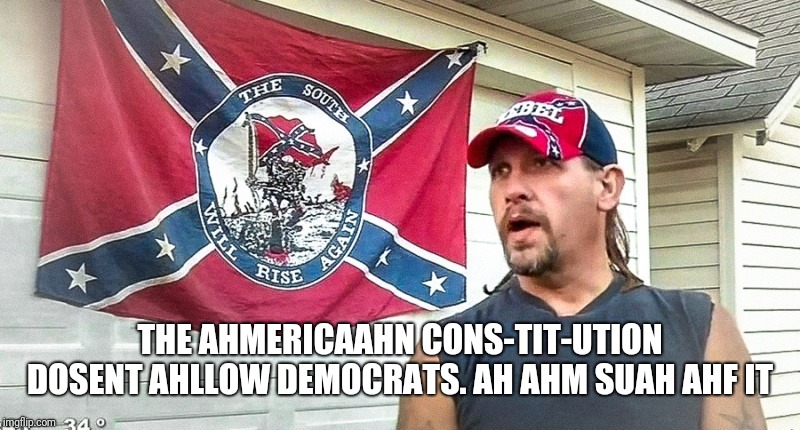 Right Wing Dumbass | THE AHMERICAAHN CONS-TIT-UTION DOSENT AHLLOW DEMOCRATS. AH AHM SUAH AHF IT | image tagged in right wing dumbass | made w/ Imgflip meme maker