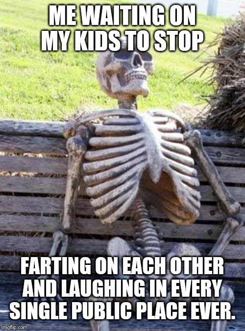 Waiting Skeleton | ME WAITING ON MY KIDS TO STOP; FARTING ON EACH OTHER AND LAUGHING IN EVERY SINGLE PUBLIC PLACE EVER. | image tagged in memes,waiting skeleton | made w/ Imgflip meme maker