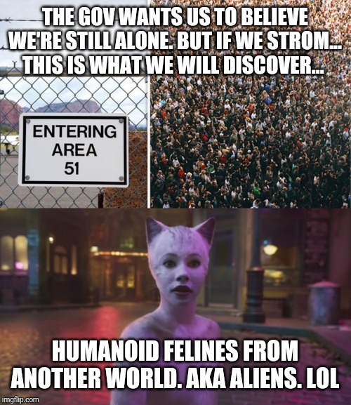 Storming Cats | THE GOV WANTS US TO BELIEVE WE'RE STILL ALONE. BUT IF WE STROM... THIS IS WHAT WE WILL DISCOVER... HUMANOID FELINES FROM ANOTHER WORLD. AKA ALIENS. LOL | image tagged in area 51,cats,funny,memes | made w/ Imgflip meme maker