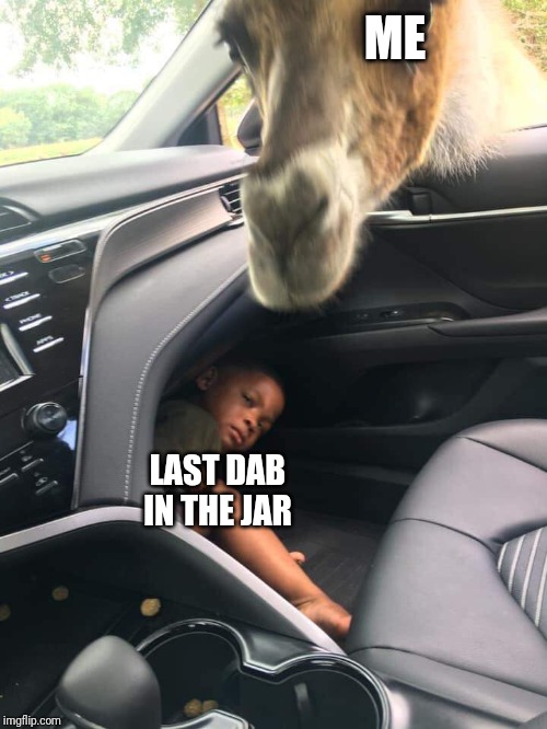 God no | ME; LAST DAB IN THE JAR | image tagged in god no | made w/ Imgflip meme maker