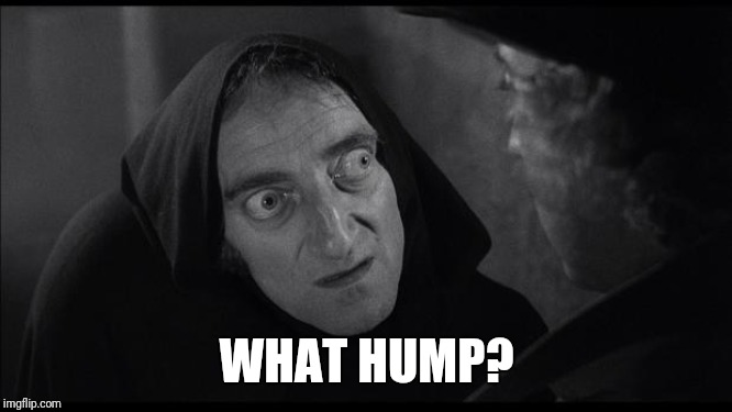 Young Frankenstein | WHAT HUMP? | image tagged in young frankenstein | made w/ Imgflip meme maker
