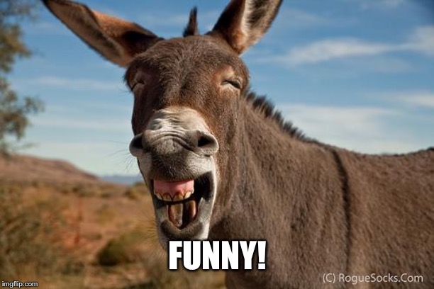 Donkey Jackass Braying | FUNNY! | image tagged in donkey jackass braying | made w/ Imgflip meme maker