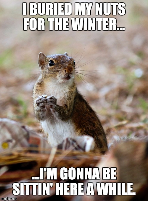 Be prepared! | I BURIED MY NUTS FOR THE WINTER... ...I'M GONNA BE SITTIN' HERE A WHILE. | image tagged in squirrel,nuts,prepping | made w/ Imgflip meme maker