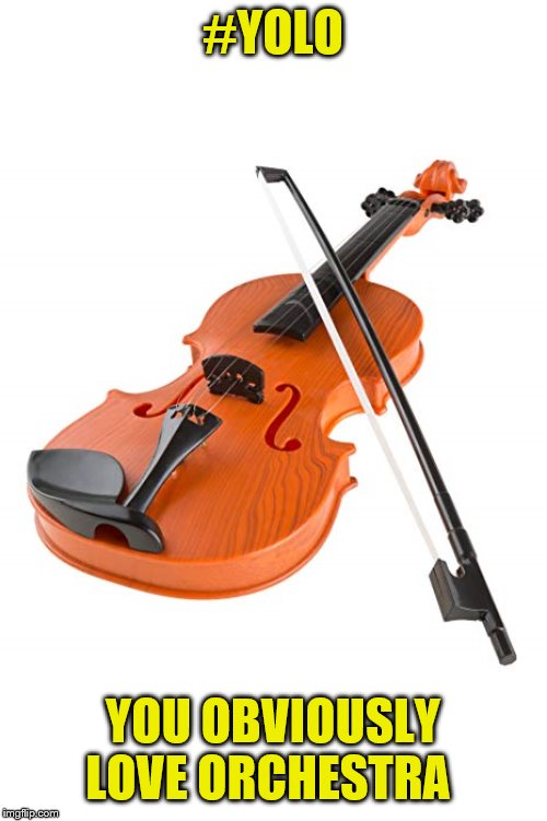 The new Meaning of Yolo | #YOLO; YOU OBVIOUSLY LOVE ORCHESTRA | image tagged in violin,orchestra,yolo | made w/ Imgflip meme maker