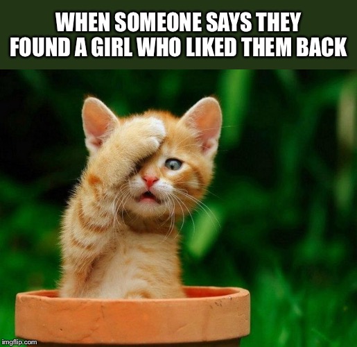 Come on | WHEN SOMEONE SAYS THEY FOUND A GIRL WHO LIKED THEM BACK | image tagged in come on | made w/ Imgflip meme maker