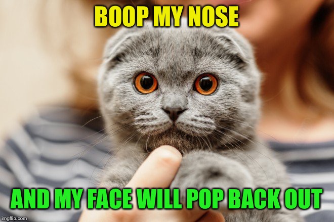 BOOP MY NOSE AND MY FACE WILL POP BACK OUT | made w/ Imgflip meme maker