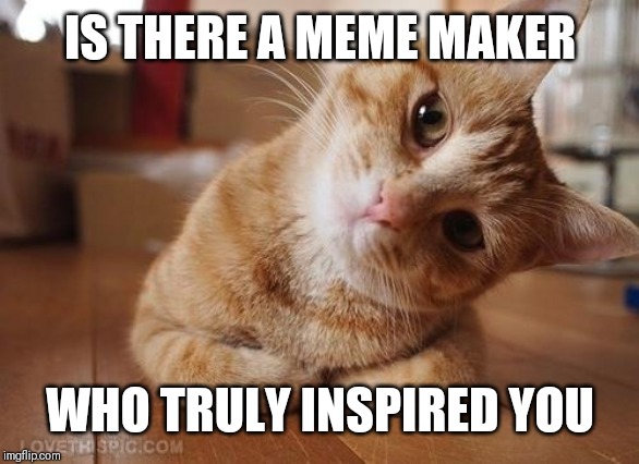 And you don't have to just lost one, because that's almost impossible | IS THERE A MEME MAKER; WHO TRULY INSPIRED YOU | image tagged in curious question cat | made w/ Imgflip meme maker