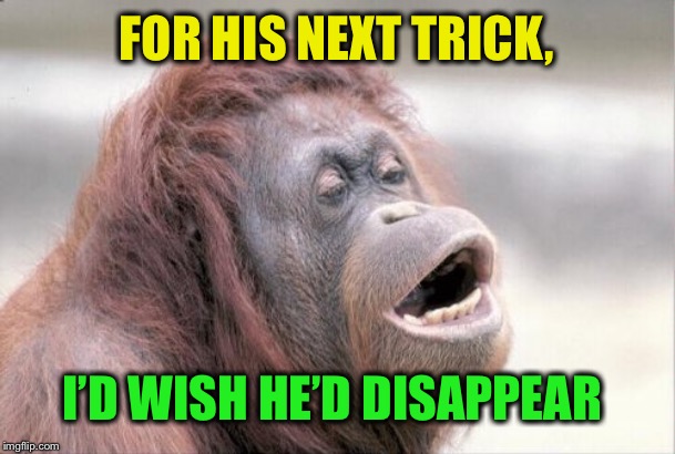 Monkey OOH Meme | FOR HIS NEXT TRICK, I’D WISH HE’D DISAPPEAR | image tagged in memes,monkey ooh | made w/ Imgflip meme maker