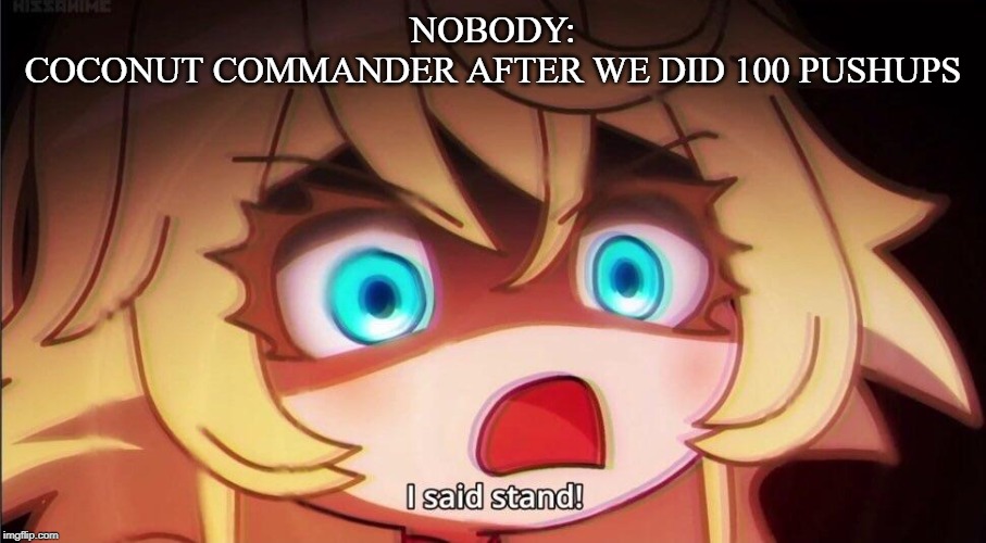 stand | NOBODY:
COCONUT COMMANDER AFTER WE DID 100 PUSHUPS | image tagged in stand | made w/ Imgflip meme maker