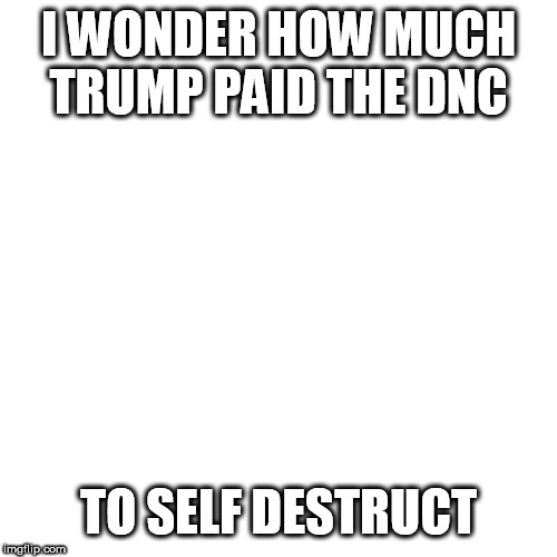 But That's None Of My Business Meme | I WONDER HOW MUCH TRUMP PAID THE DNC; TO SELF DESTRUCT | image tagged in memes,but thats none of my business,kermit the frog | made w/ Imgflip meme maker