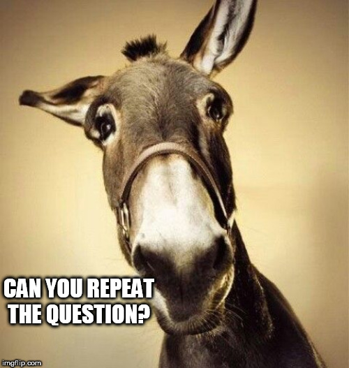 Mule | CAN YOU REPEAT THE QUESTION? | image tagged in mule | made w/ Imgflip meme maker