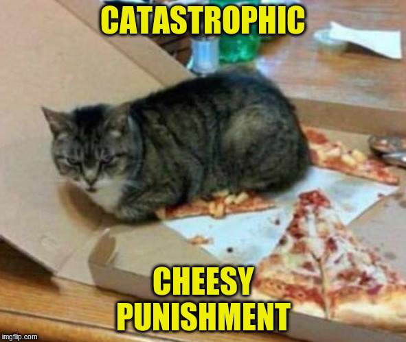 Catastrophic cheesy punishment | CATASTROPHIC; CHEESY
PUNISHMENT | image tagged in cats,pizza,pun | made w/ Imgflip meme maker