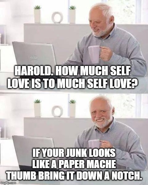 ask Harold. | HAROLD. HOW MUCH SELF LOVE IS TO MUCH SELF LOVE? IF YOUR JUNK LOOKS LIKE A PAPER MACHE THUMB BRING IT DOWN A NOTCH. | image tagged in memes,hide the pain harold | made w/ Imgflip meme maker