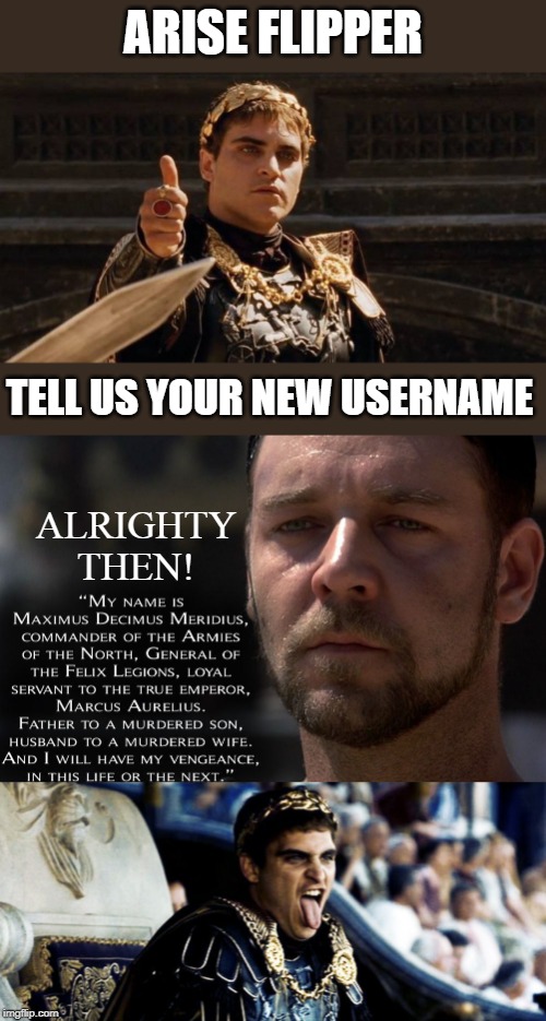 My new name is.... | ARISE FLIPPER; TELL US YOUR NEW USERNAME; ALRIGHTY THEN! | image tagged in imgflip,imgflip users,lol,usernames,meme,gladiator | made w/ Imgflip meme maker