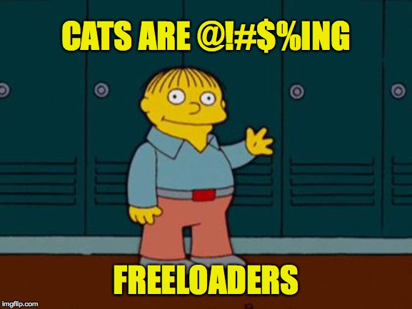 ralph wiggum | CATS ARE @!#$%ING FREELOADERS | image tagged in ralph wiggum | made w/ Imgflip meme maker