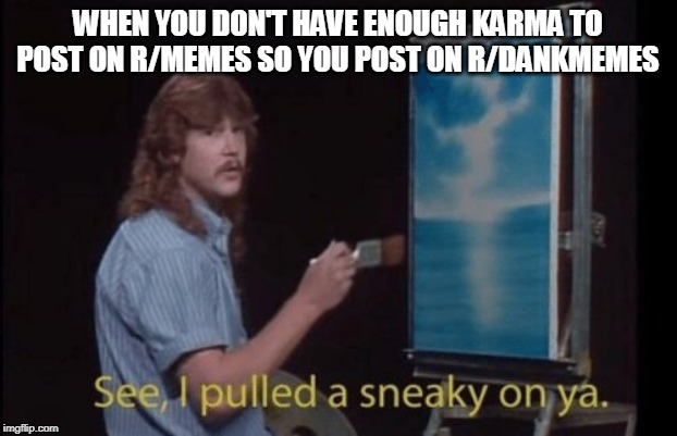I pulled a sneaky | WHEN YOU DON'T HAVE ENOUGH KARMA TO POST ON R/MEMES SO YOU POST ON R/DANKMEMES | image tagged in i pulled a sneaky | made w/ Imgflip meme maker