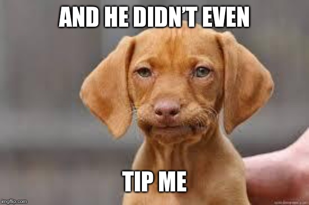 Disappointed Dog | AND HE DIDN’T EVEN TIP ME | image tagged in disappointed dog | made w/ Imgflip meme maker