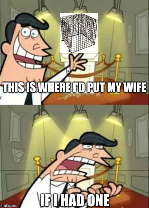 This Is Where I'd Put My Trophy If I Had One Meme | THIS IS WHERE I'D PUT MY WIFE; IF I HAD ONE | image tagged in memes,this is where i'd put my trophy if i had one | made w/ Imgflip meme maker