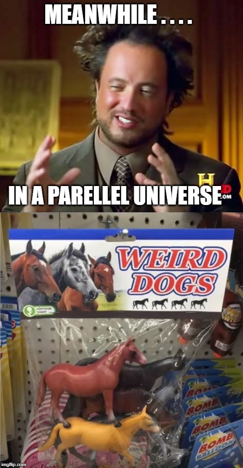 saddle up them dogs ! | MEANWHILE . . . . IN A PARELLEL UNIVERSE | image tagged in memes,ancient aliens,horse,dogs,weird | made w/ Imgflip meme maker