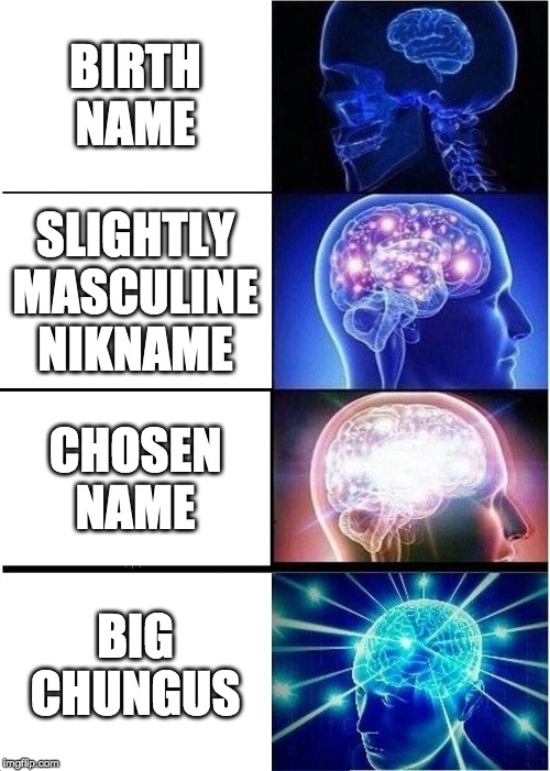 Expanding Brain | BIRTH NAME; SLIGHTLY MASCULINE NIKNAME; CHOSEN NAME; BIG CHUNGUS | image tagged in memes,expanding brain | made w/ Imgflip meme maker