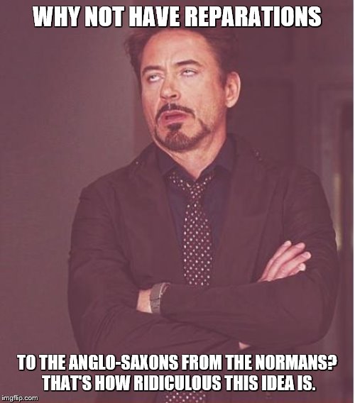 Face You Make Robert Downey Jr Meme | WHY NOT HAVE REPARATIONS TO THE ANGLO-SAXONS FROM THE NORMANS?  THAT'S HOW RIDICULOUS THIS IDEA IS. | image tagged in memes,face you make robert downey jr | made w/ Imgflip meme maker