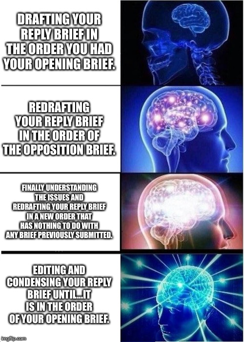 Expanding Brain Meme | DRAFTING YOUR REPLY BRIEF IN THE ORDER YOU HAD YOUR OPENING BRIEF. REDRAFTING YOUR REPLY BRIEF IN THE ORDER OF THE OPPOSITION BRIEF. FINALLY UNDERSTANDING THE ISSUES AND REDRAFTING YOUR REPLY BRIEF IN A NEW ORDER THAT HAS NOTHING TO DO WITH ANY BRIEF PREVIOUSLY SUBMITTED. EDITING AND CONDENSING YOUR REPLY BRIEF UNTIL...IT IS IN THE ORDER OF YOUR OPENING BRIEF. | image tagged in memes,expanding brain | made w/ Imgflip meme maker