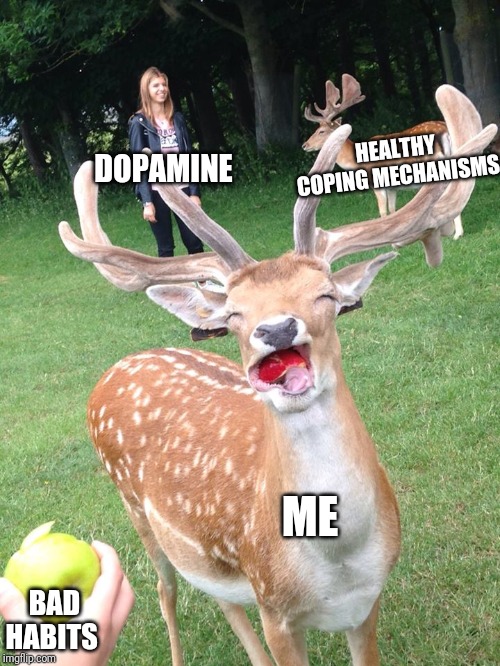 HEALTHY COPING MECHANISMS; DOPAMINE; ME; BAD HABITS | image tagged in funny,meme,trending,new,deer,depression | made w/ Imgflip meme maker