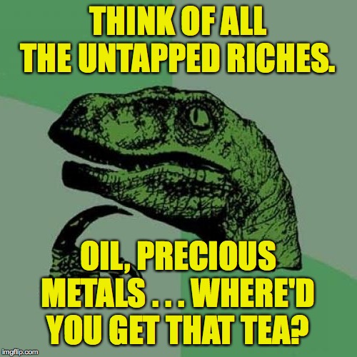 THINK OF ALL THE UNTAPPED RICHES. OIL, PRECIOUS METALS . . . WHERE'D YOU GET THAT TEA? | made w/ Imgflip meme maker